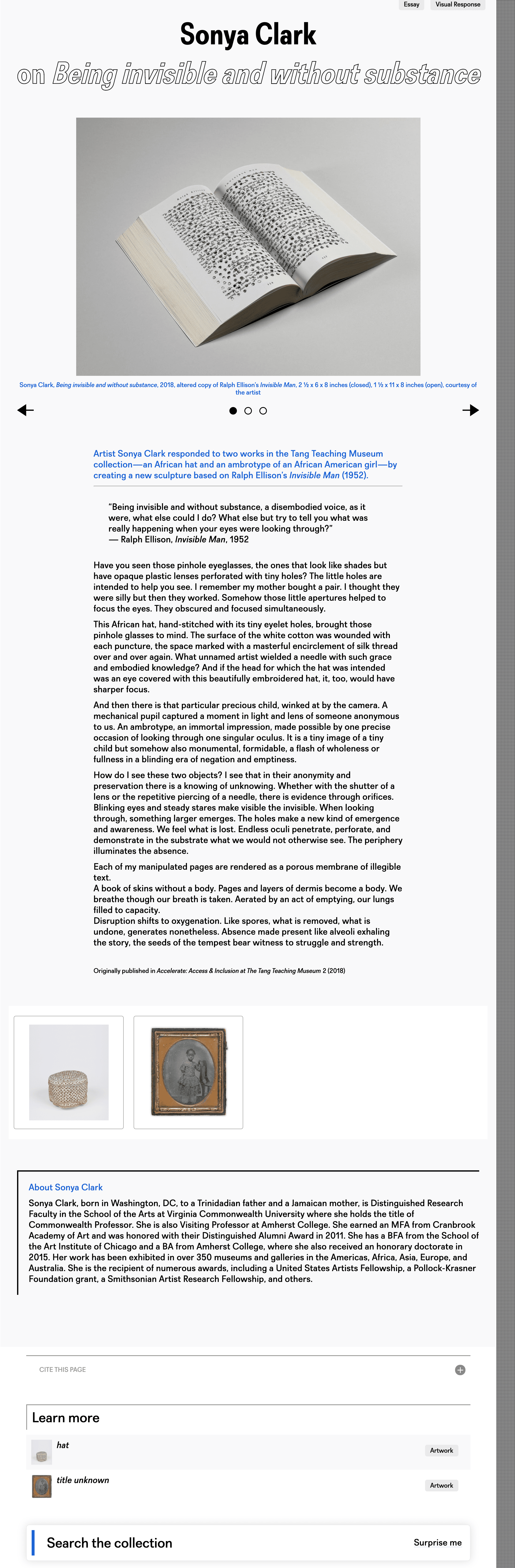 A screenshot of a story page from the Tang Collection area showing an essay by Sonya Clark