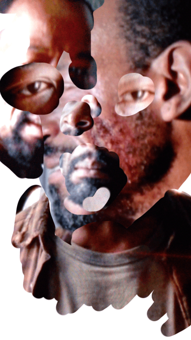 shrub_lali_640.png