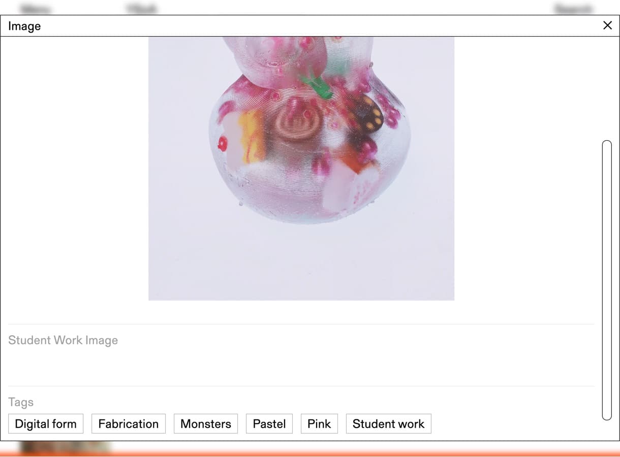 Screenshot of an individual student work on the website